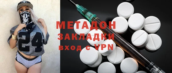 прущие грибы Переславль-Залесский