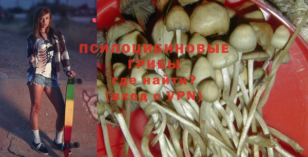 первитин Богородицк