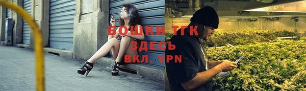 прущие грибы Переславль-Залесский