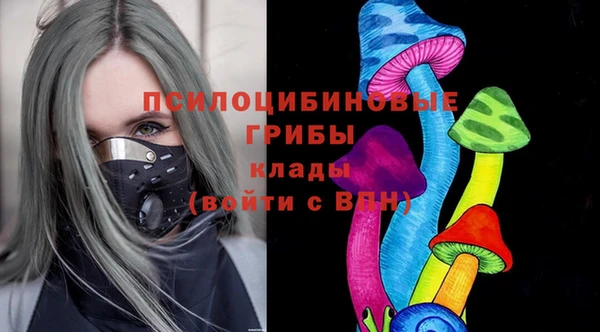 первитин Богородицк