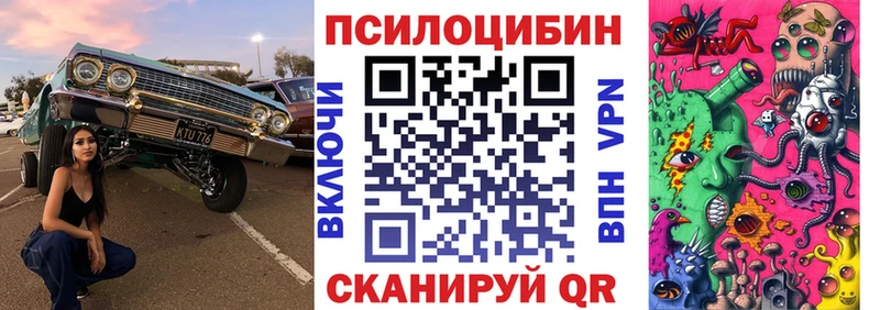 цены Александровское Галлюциногенные грибы Psilocybe