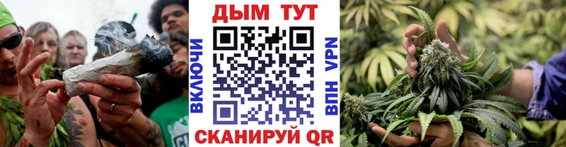 закладки  Александровское  Бошки марихуана конопля 